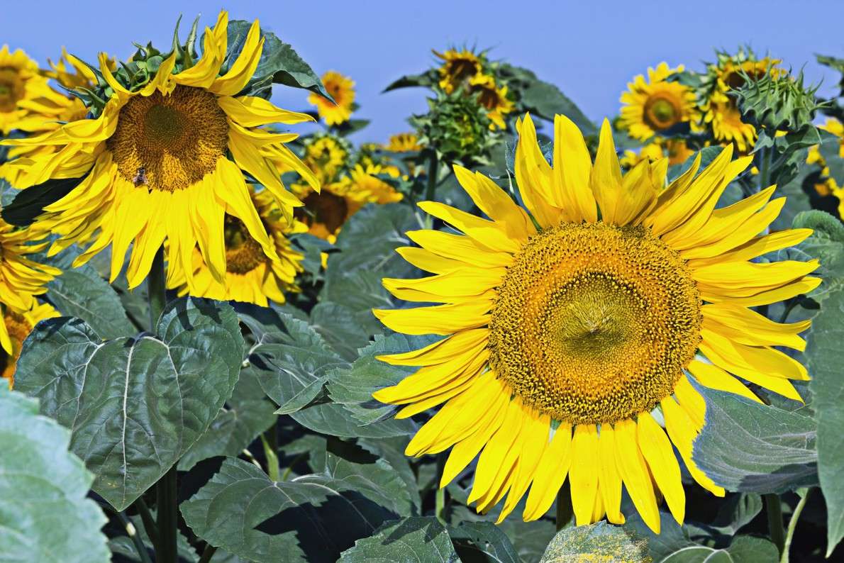 ... ����� ������ ������ �� PhotoGeek.ru #������ ��� ������� #����� ��������������