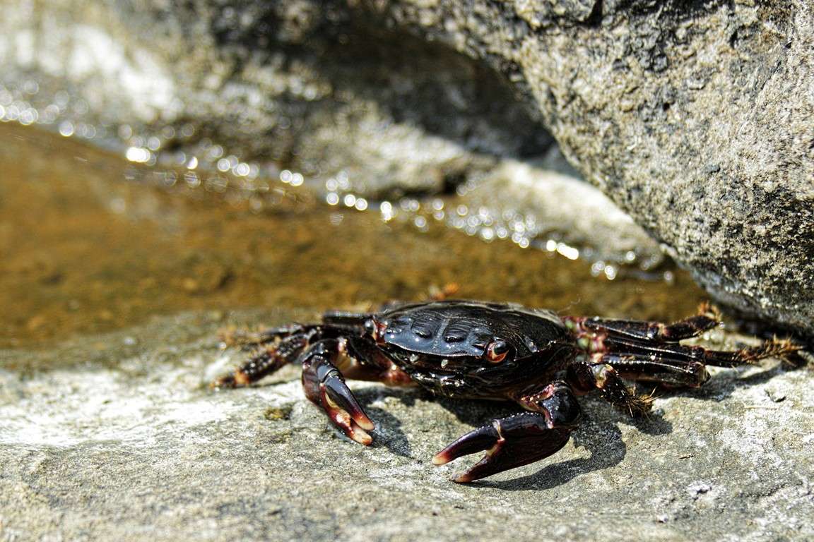 ������� ����� ������ ������ �� PhotoGeek.ru #�������� ���