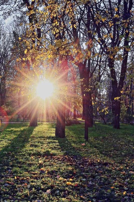 Солнце пряталось в тени :) / Солнце пряталось в тени :) / Фотография на ...