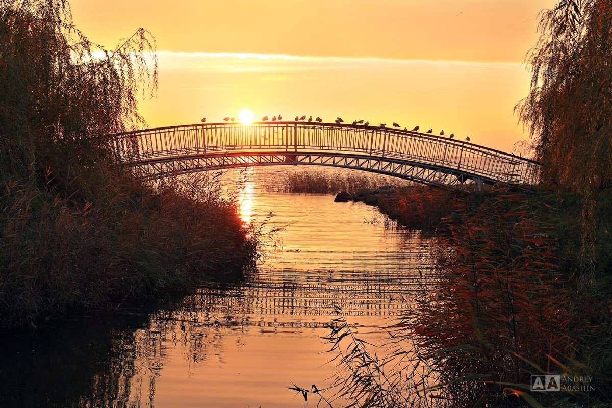 �������� ��������� :) ����� ������ ������ �� PhotoGeek.ru #����� #������ ������ #��������� ������ #��������