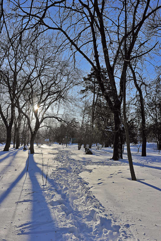 ��������� ����. ������� ����� ������ ������ �� PhotoGeek.ru #����� #��������� ������