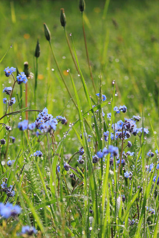 ... ����� ������ ������ �� PhotoGeek.ru #������ ��� ������� #����� ��������������