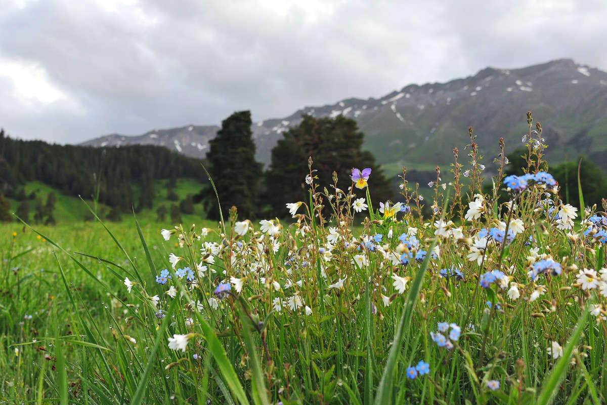 ... ����� ������ ������ �� PhotoGeek.ru #������ ��� ������� #����� ��������������