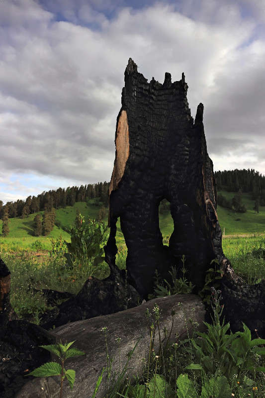 ����� ����� ����� ������ ������ �� PhotoGeek.ru #������ ��� �������