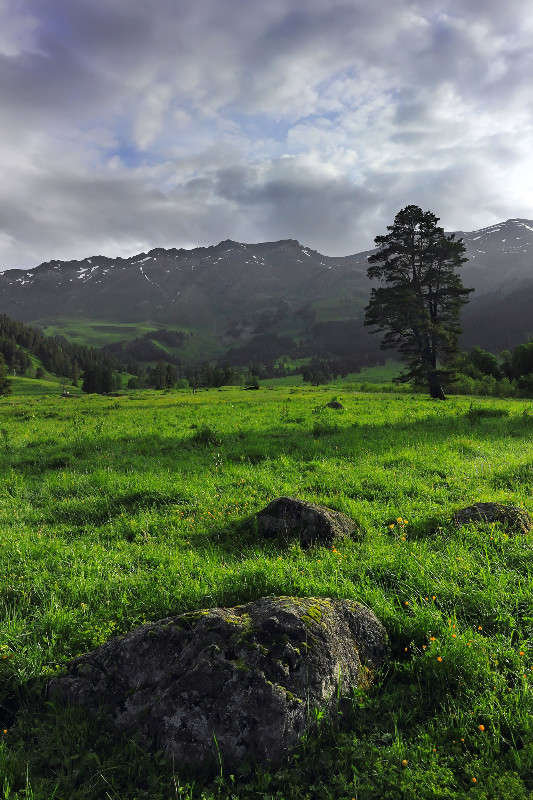 ... ����� ������ ������ �� PhotoGeek.ru #������ ��� �������