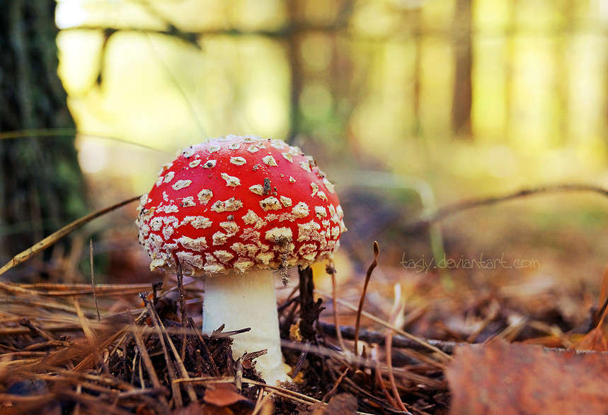 ... ����� ���������  �� PhotoGeek.ru #����� #������ ��� ������� #����� �������������� #������ #����� ��������