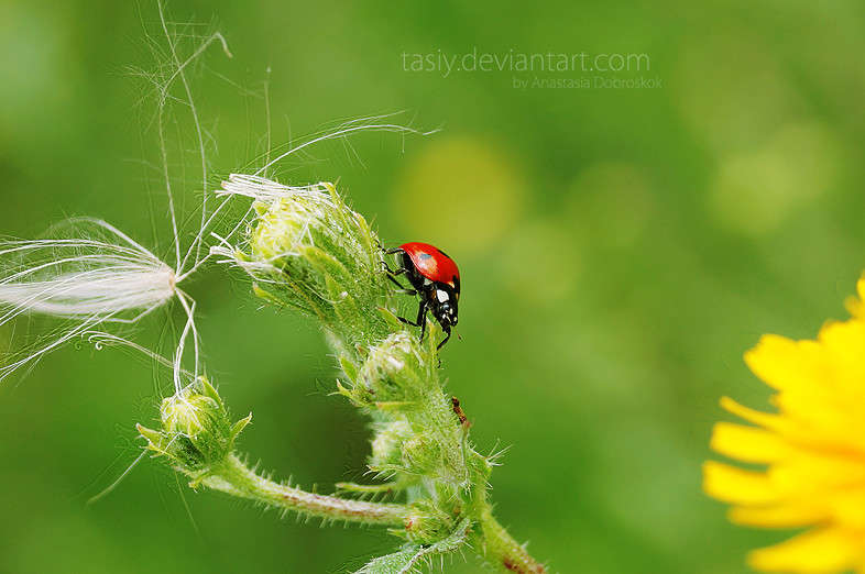 ... ����� ���������  �� PhotoGeek.ru #����� #�������� ��� #������ ��� ������� #����� ��� ��� ��������� #����� �������������� #��������� #������ #����� ��������