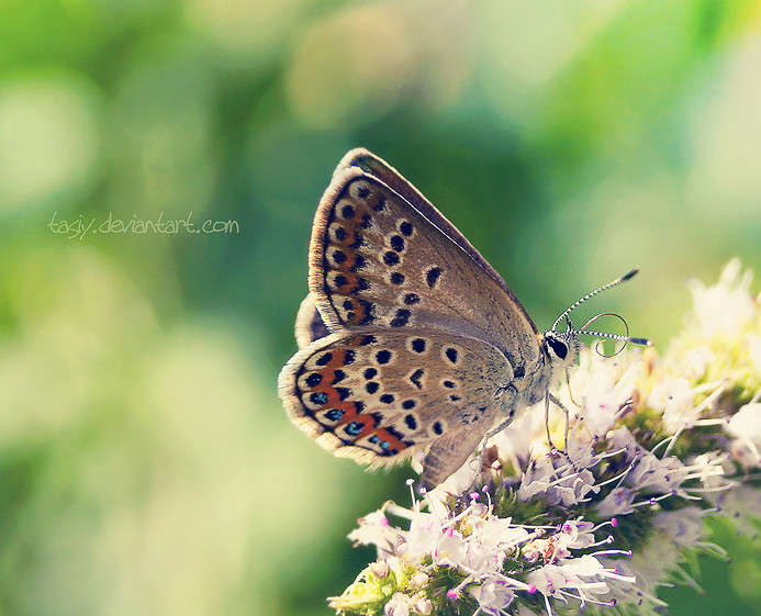 ... ����� ���������  �� PhotoGeek.ru #����� #�������� ��� #������ ��� ������� #����� ��� ��� ��������� #����� �������������� #��������� #������ #����� ��������