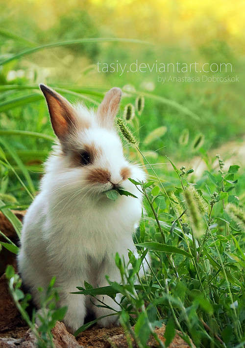 ... ����� ���������  �� PhotoGeek.ru #�������� ��� #������ ��� ������� #����� ��� ��� ��������� #����� �������������� #������ #����� ��������