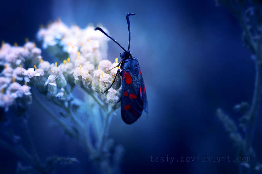 ... ����� ���������  �� PhotoGeek.ru #����� #�������� ��� #������ ��� ������� #����� ��� ��� ��������� #����� �������������� #��������� #��������� #������ #����� ��������