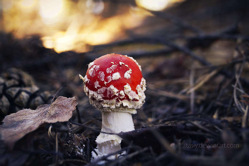 ... ����� ���������  �� PhotoGeek.ru #����� #������ ��� ������� #����� �������������� #��������� #������ #����� ��������