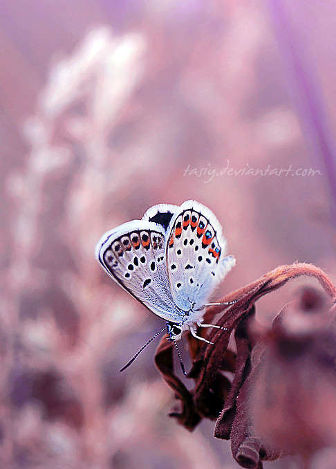 ... ����� ���������  �� PhotoGeek.ru #����� #�������� ��� #������ ��� ������� #����� ��� ��� ��������� #����� �������������� #��������� #��������� #������ #����� ��������