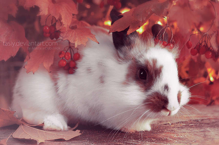 ... ����� ���������  �� PhotoGeek.ru #�������� ��� #�������� ���