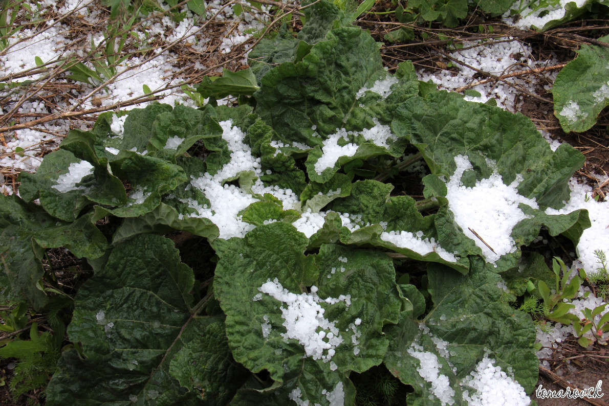 ������� �������� ����� ����� ����������� �� PhotoGeek.ru #������ ��� �������