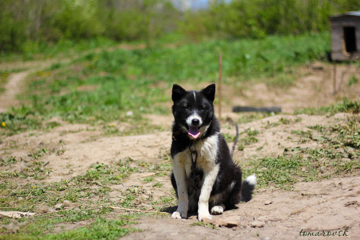 ������))) ����� ����� ����������� �� PhotoGeek.ru #�������� ���