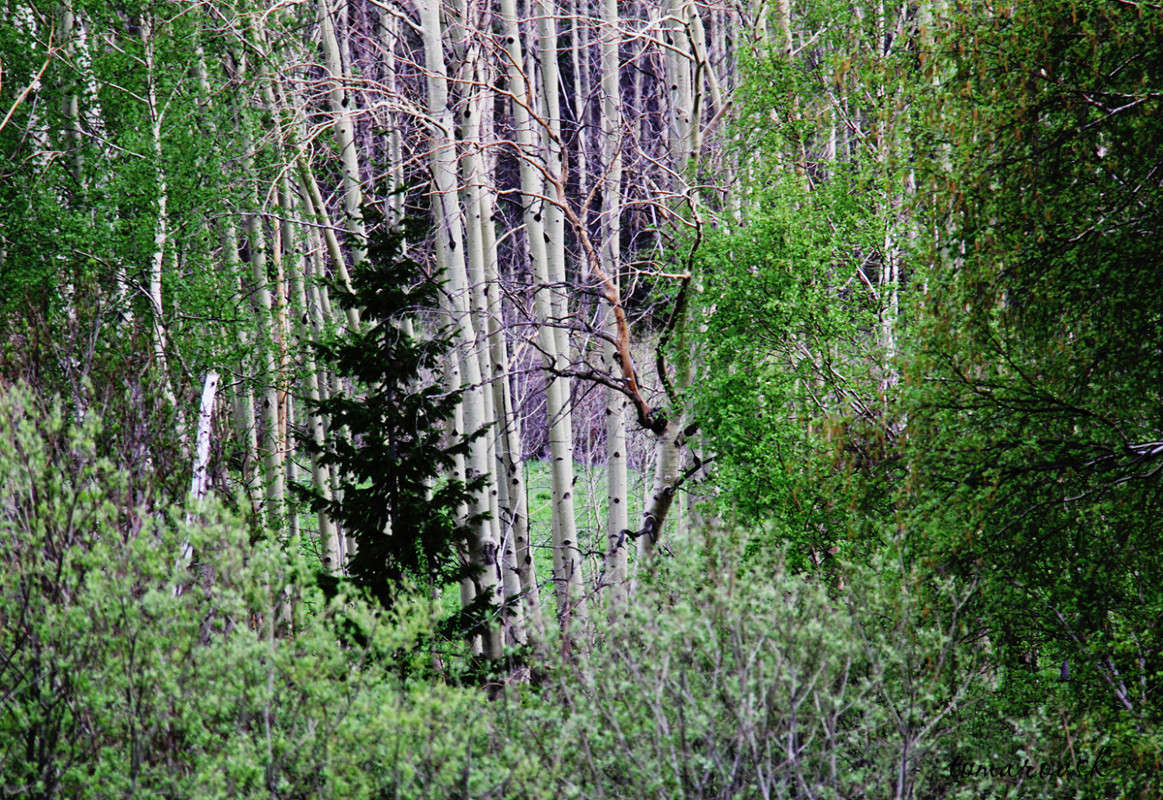 ��� ��� �............���........... ����� ����� ����������� �� PhotoGeek.ru #������ ��� �������