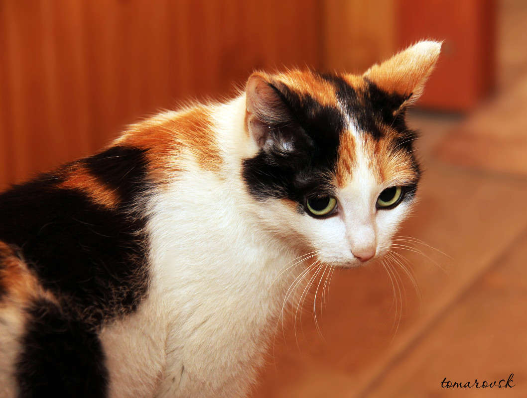 ������ �����))) ����� ����� ����������� �� PhotoGeek.ru #�������� ��� #�������� ���