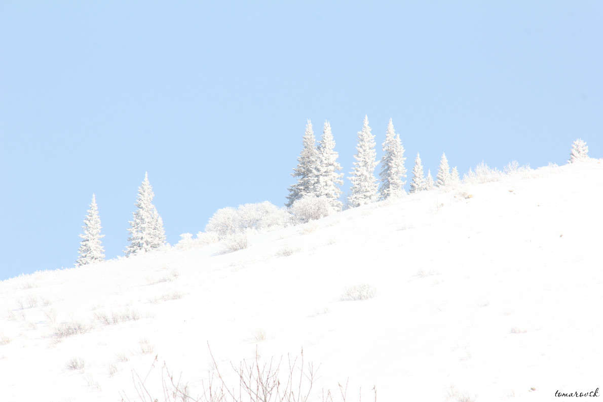 ���� ���������... ����� ����� ����������� �� PhotoGeek.ru #������ ��� �������