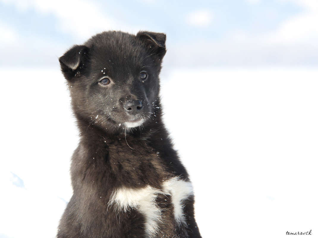 �� ��������� ������������))) ����� ����� ����������� �� PhotoGeek.ru #�������� ���