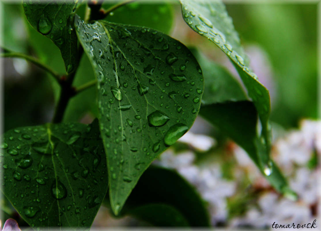 ����� �����... ����� ����� ����������� �� PhotoGeek.ru #������ ��� ������� #����� ��������������