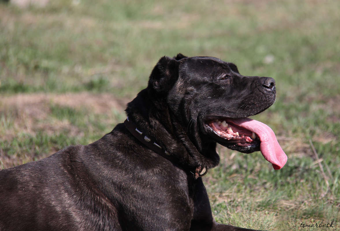 ������ ������ ���� ����� ����� ����������� �� PhotoGeek.ru #�������� ���