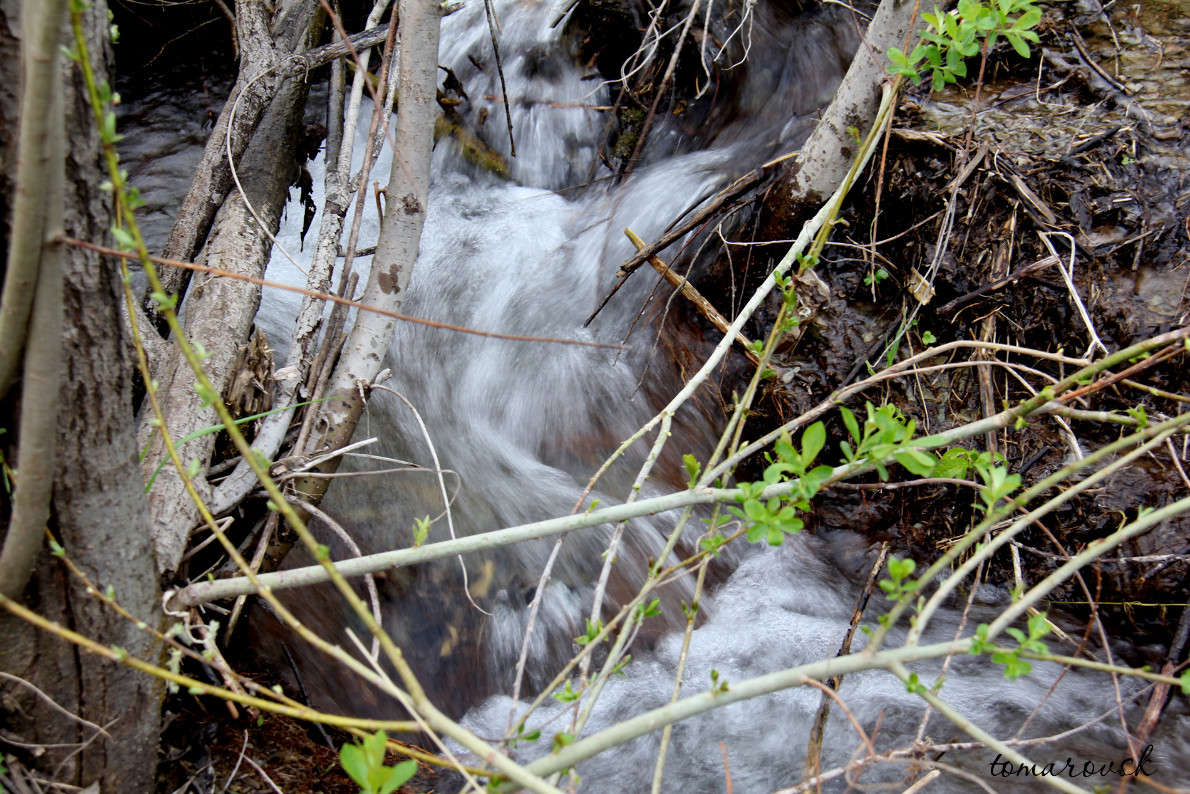 ������ ����� �����))) ����� ����� ����������� �� PhotoGeek.ru #������ ��� �������