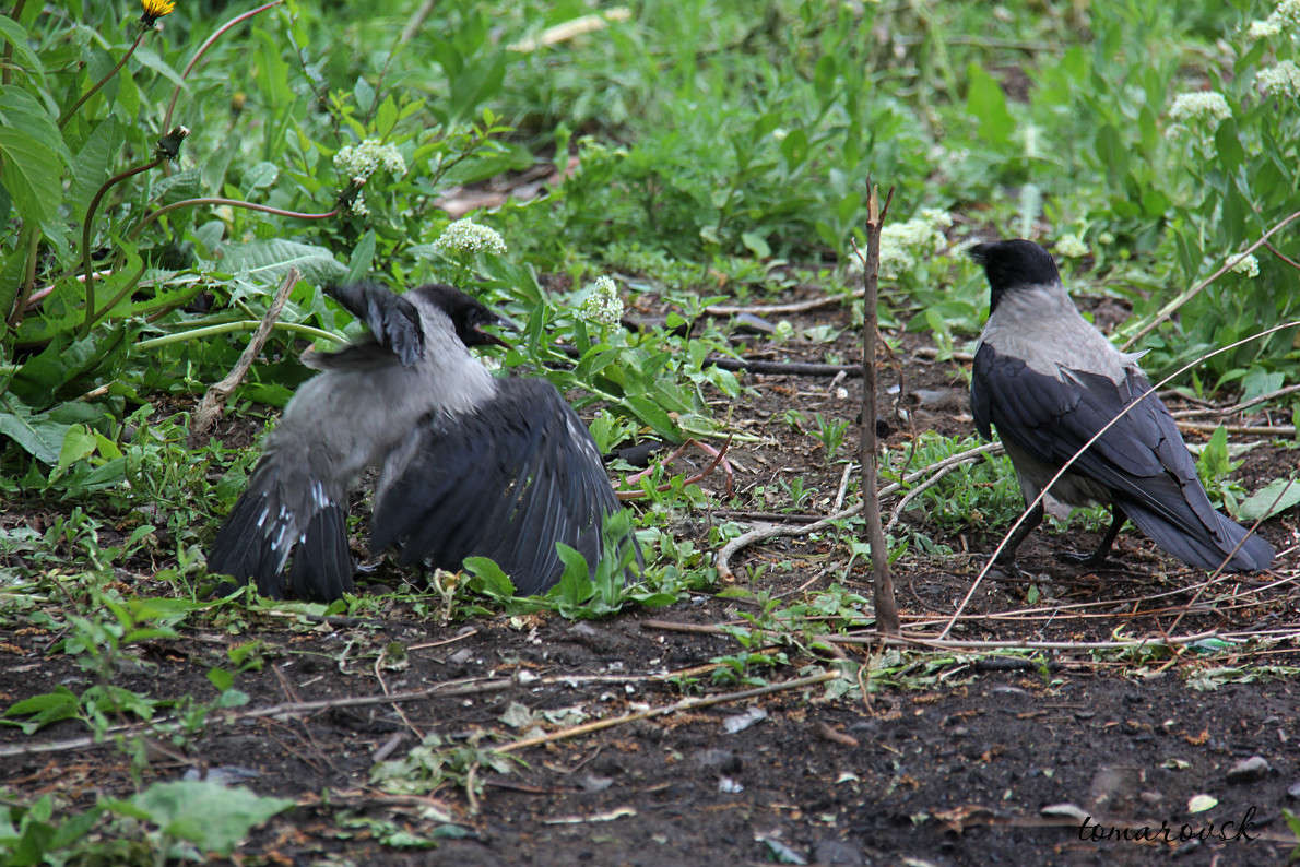 ... ����� ����� ����������� �� PhotoGeek.ru #�������� ���