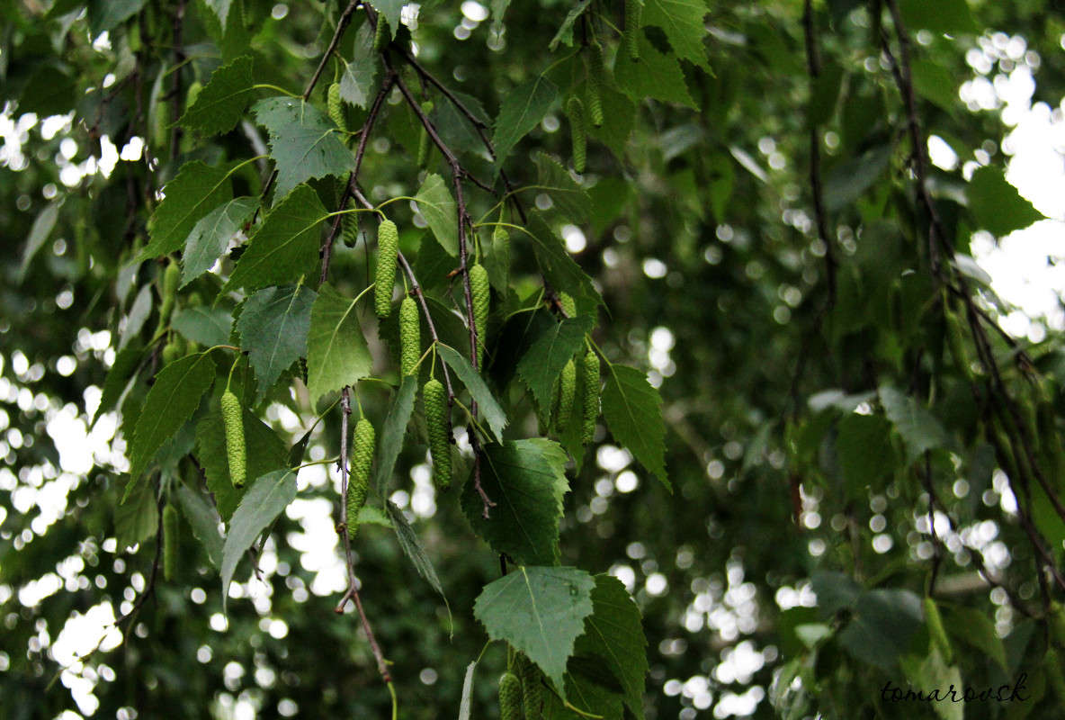 ��������� ���������!!! ����� ����� ����������� �� PhotoGeek.ru #������ ��� �������