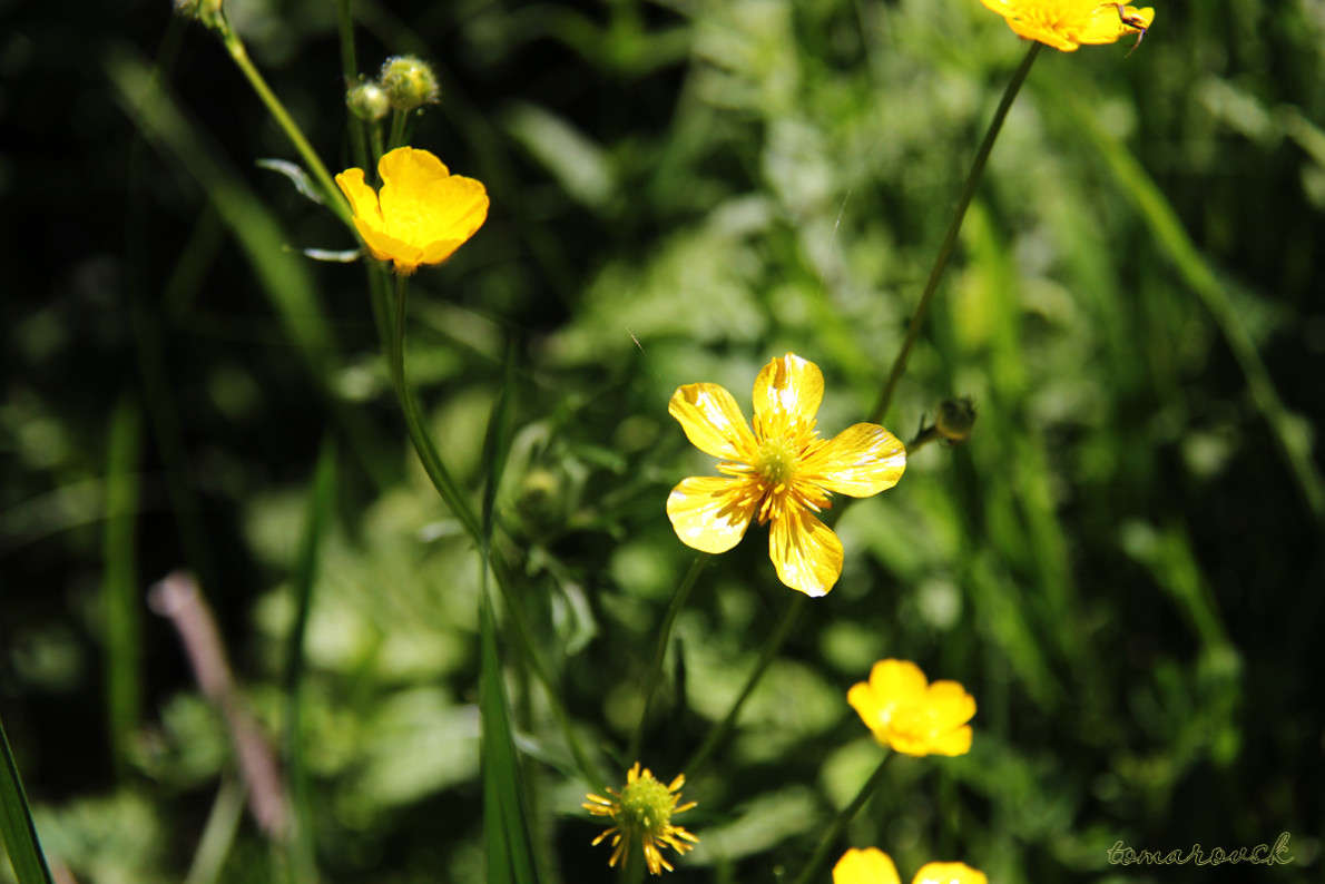 ... ����� ����� ����������� �� PhotoGeek.ru #������ ��� �������