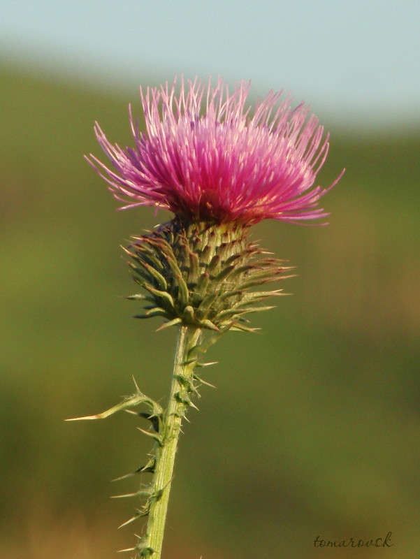 �������� ��������... ����� ����� ����������� �� PhotoGeek.ru #������ ��� �������