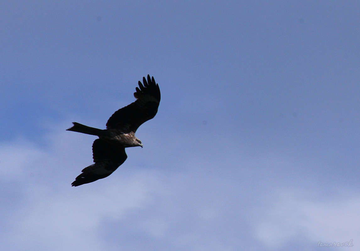 ��� ��� �������!!! ����� ����� ����������� �� PhotoGeek.ru #�������� ��� #����� ��� ��� ���������