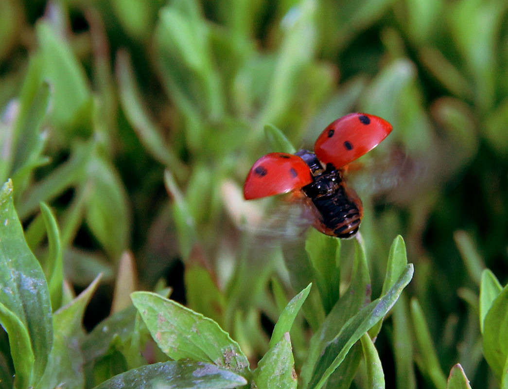 ���� �������!!! ����� ����� ����������� �� PhotoGeek.ru #������ ��� �������