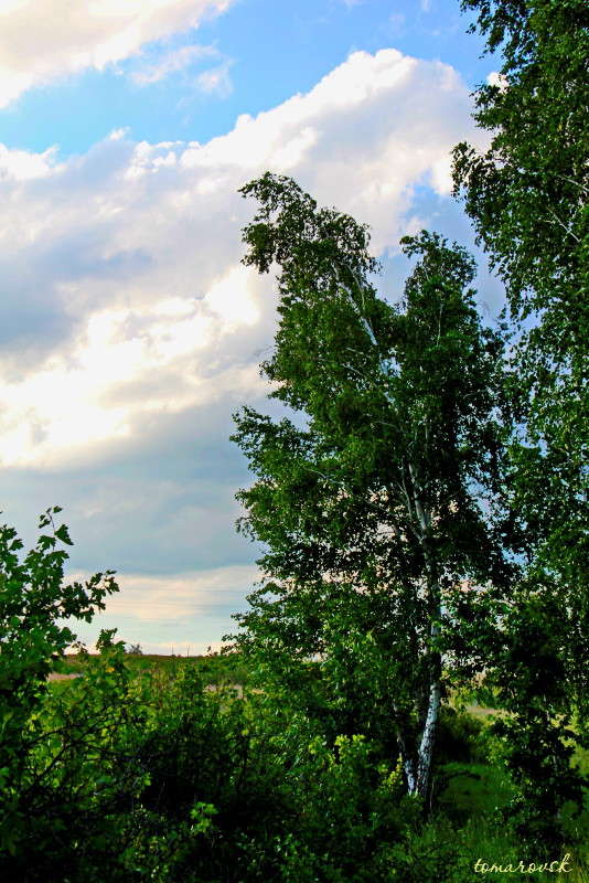 ����� ������... ����� ����� ����������� �� PhotoGeek.ru #������ ��� �������