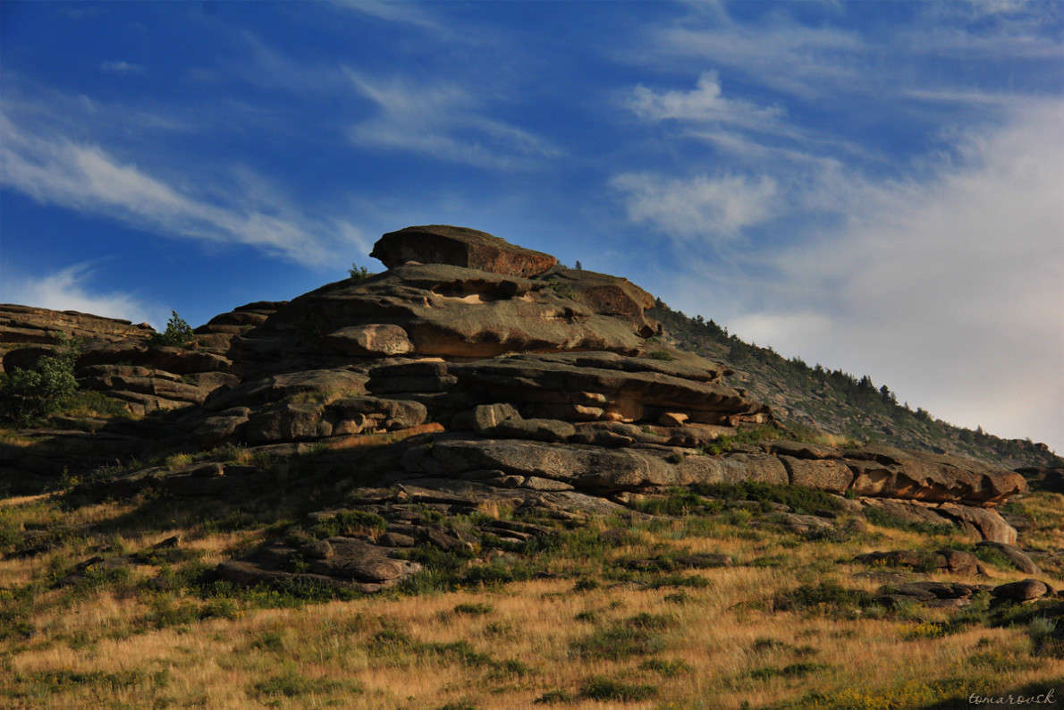 ��������� ��������� 