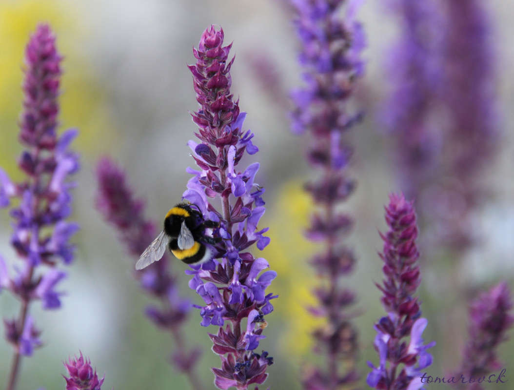 ����������))) ����� ����� ����������� �� PhotoGeek.ru #����� #�������� ��� #������ ��� �������