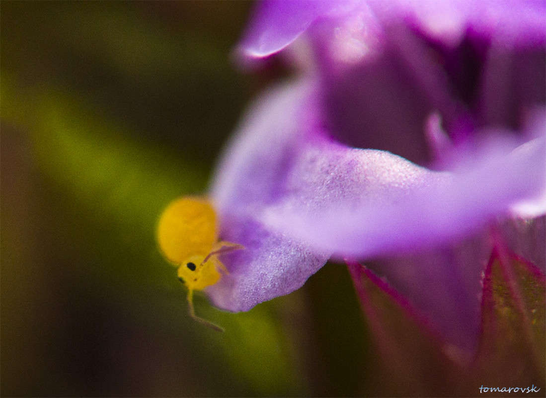 �� ����� ����� ��������� ���������� �����... ����� ����� ����������� �� PhotoGeek.ru #����� #������ ��� ������� #��������� #����� ��������