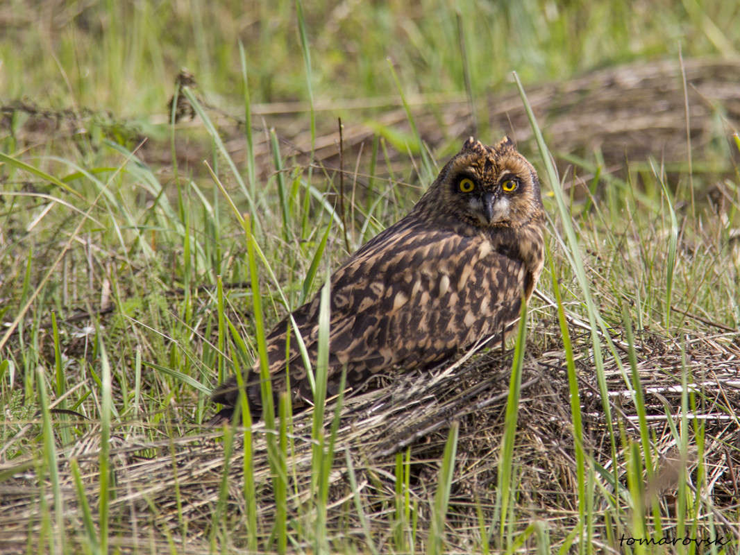 ... ����� ����� ����������� �� PhotoGeek.ru #�������� ��� #������ ��� �������