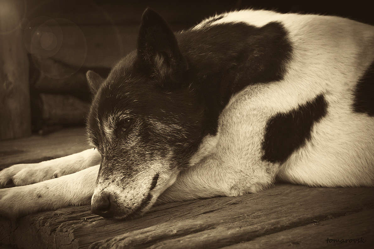 ��� �������� � ������ �����... ����� ����� ����������� �� PhotoGeek.ru #�������� ��� #�������� ���