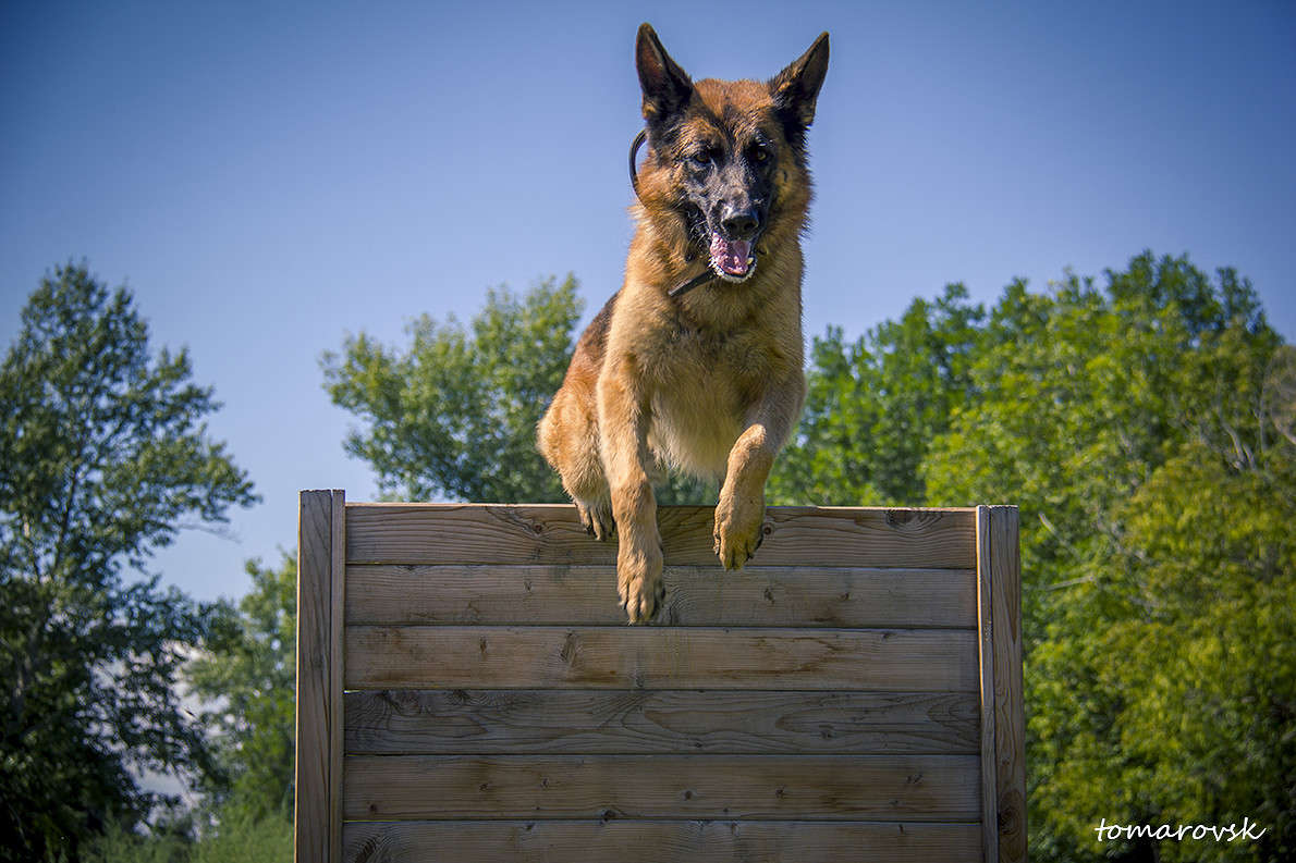 �� ������ ������������!!! ����� ����� ����������� �� PhotoGeek.ru #�������� ���