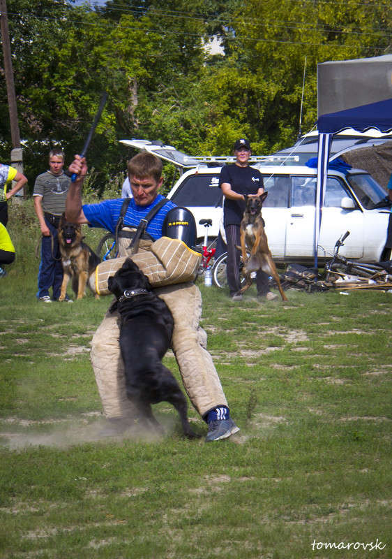 �� ������!!! ����� ����� ����������� �� PhotoGeek.ru #�������� ���