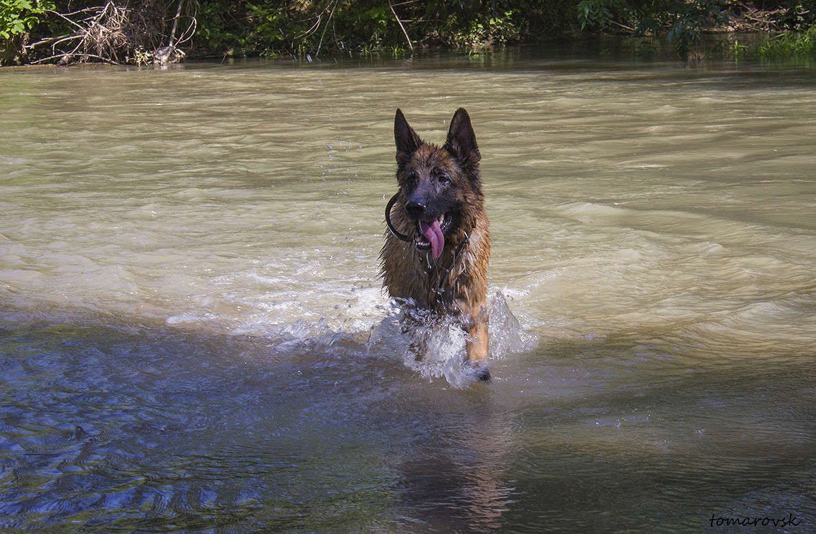 ������ ����� ����� ����� ����������� �� PhotoGeek.ru #�������� ��� #��������