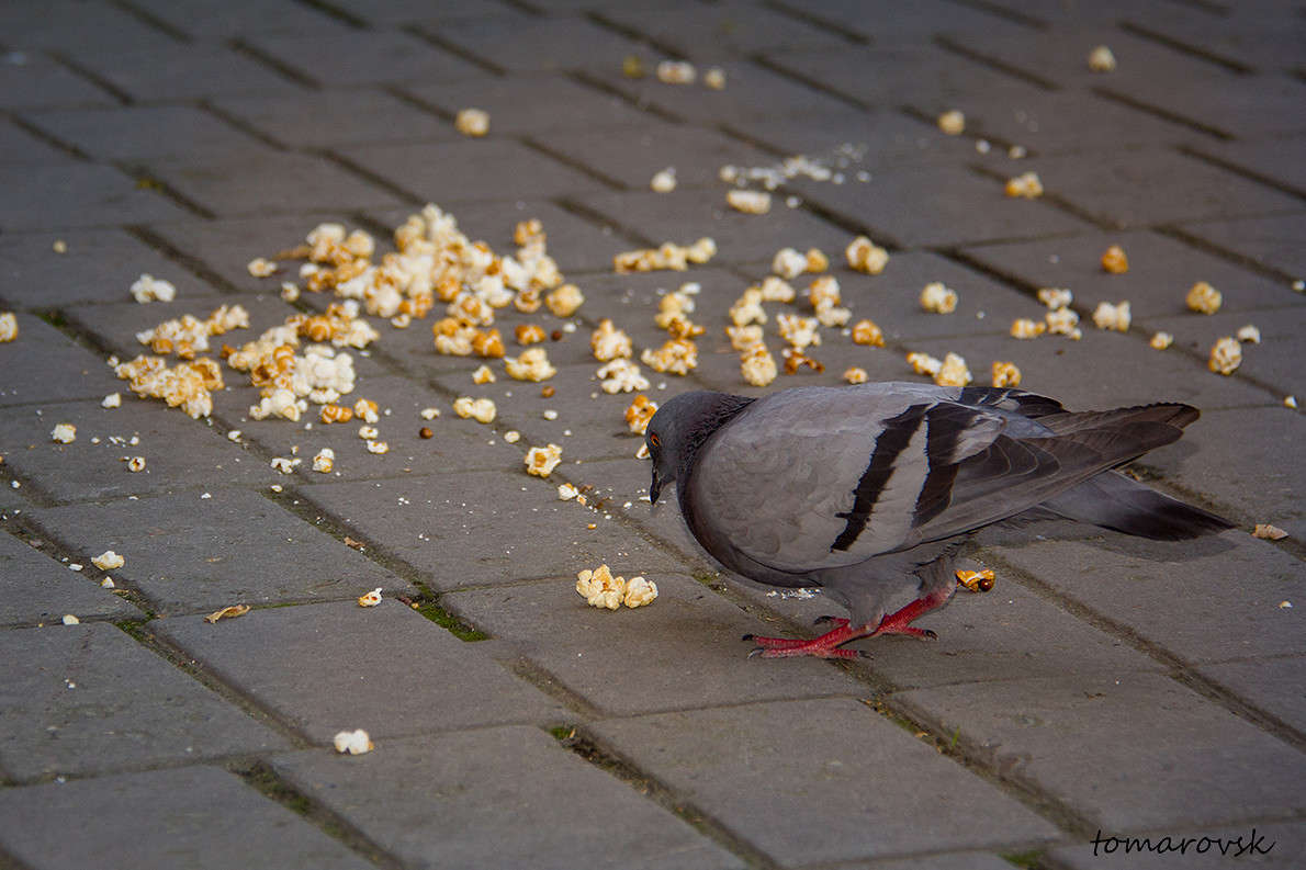 ��������� �����������... ����� ����� ����������� �� PhotoGeek.ru #����� #�������� ���