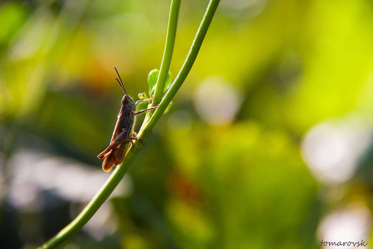 � ����� ����� �������� ����� ����� ����������� �� PhotoGeek.ru #�������� ��� #������ ��� �������