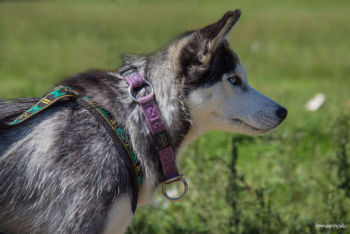 ����� ����� ����� ����������� �� PhotoGeek.ru #�������� ���