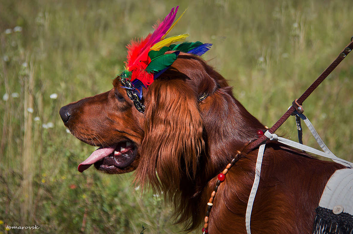 ���������� ������ ����� ����� ����������� �� PhotoGeek.ru #�������� ���