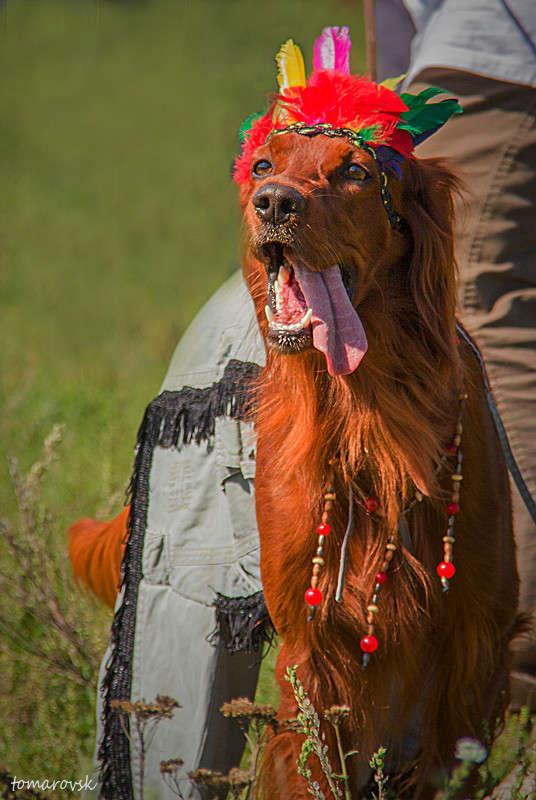 ���������� ������ ����� ����� ����������� �� PhotoGeek.ru #�������� ���