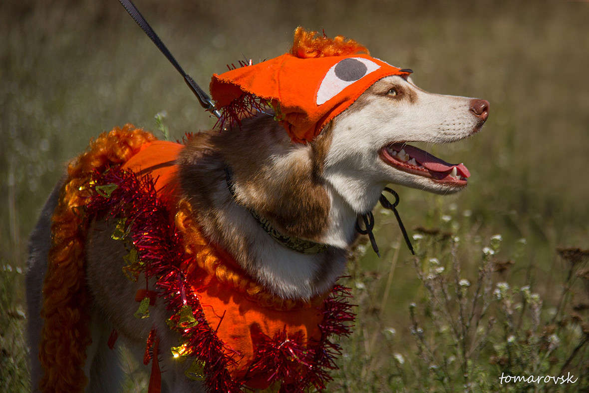 ����� ����� ����� ����������� �� PhotoGeek.ru #�������� ���