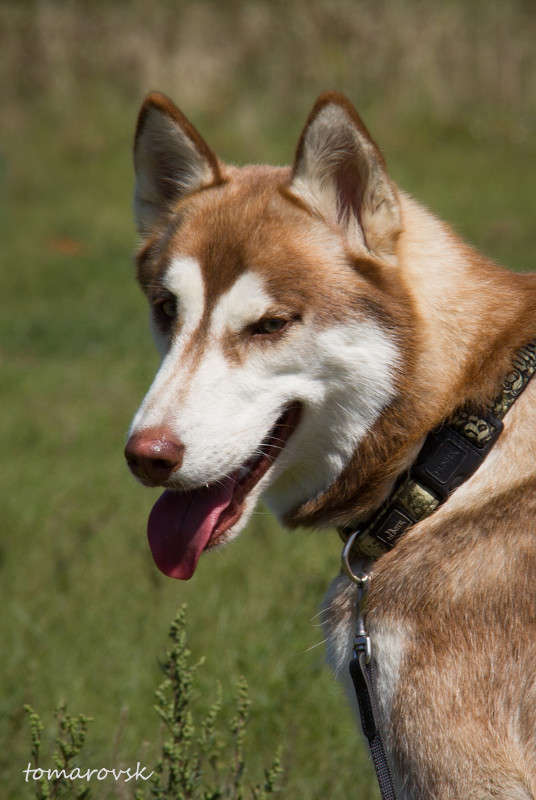 ����� ����� ����� ����������� �� PhotoGeek.ru #�������� ���