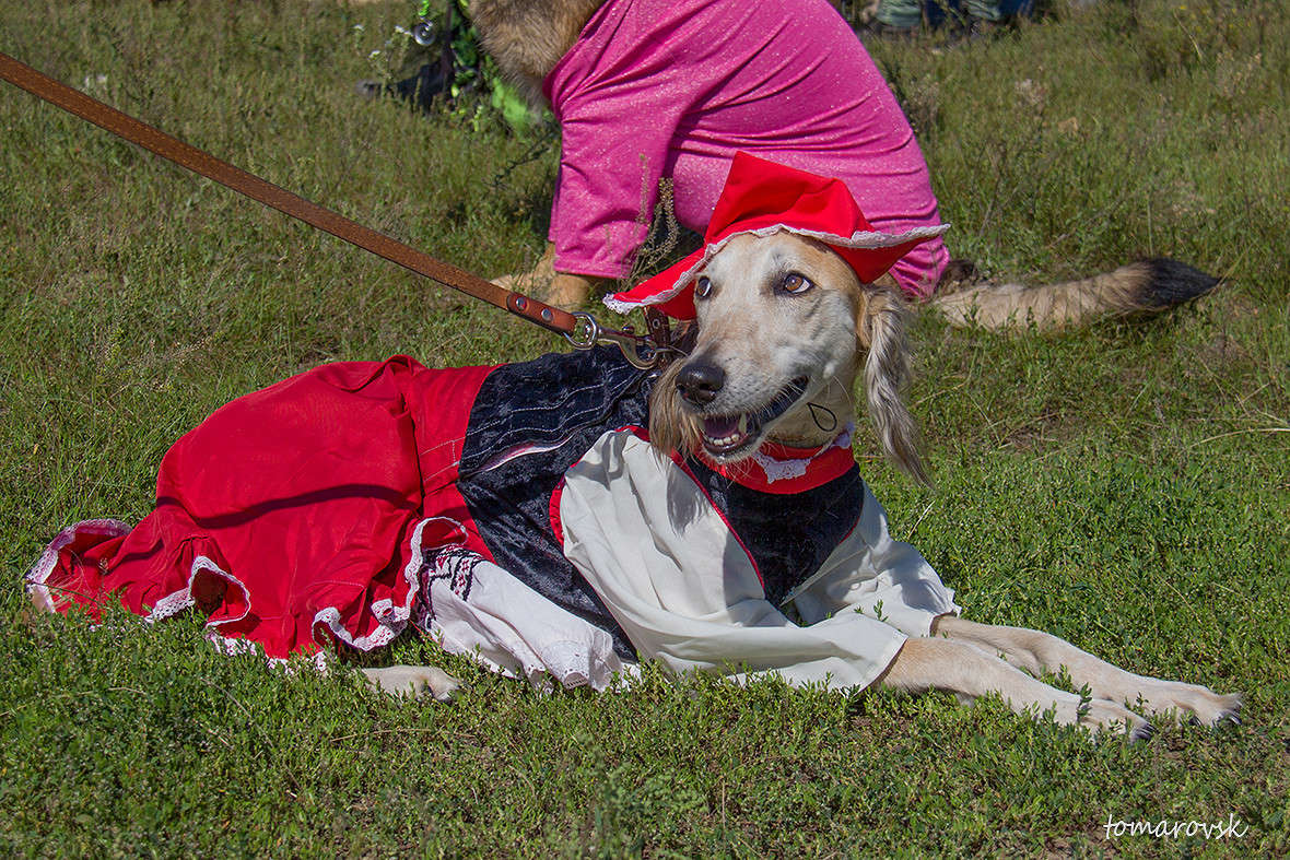 ������� �������!!! ����� ����� ����������� �� PhotoGeek.ru #�������� ��� #��������