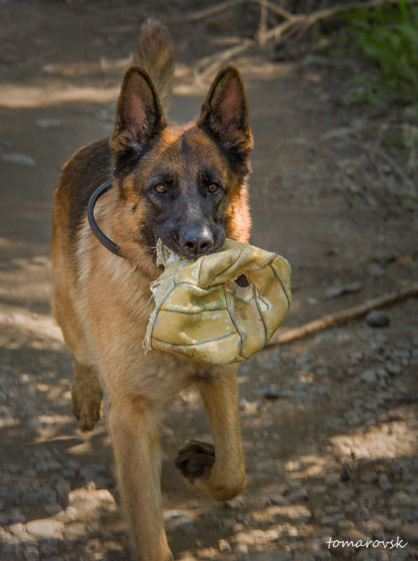 ������ ������!!! ����� ����� ����������� �� PhotoGeek.ru #�������� ��� #��������